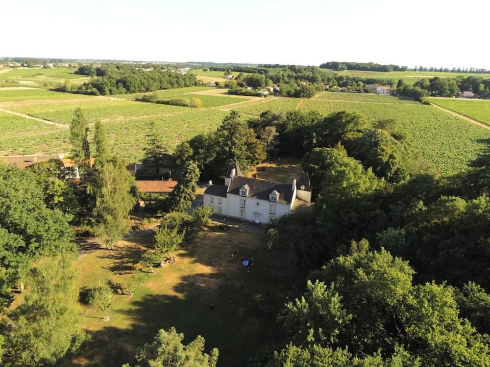 Du Vignoble A L'Atlantique - Chateau Cassemichere Gite La Chapelle-Heulin Екстериор снимка